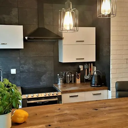 Studio Miła i Nido w Centrum Zakopane Zewnętrze zdjęcie