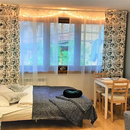 Studio Miła i Nido w Centrum Zakopane Zewnętrze zdjęcie