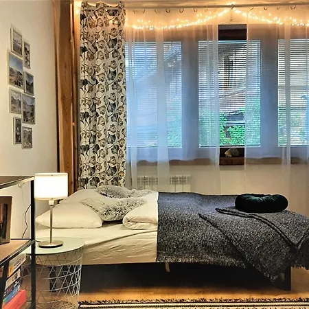Studio Miła i Nido w Centrum Zakopane Zewnętrze zdjęcie