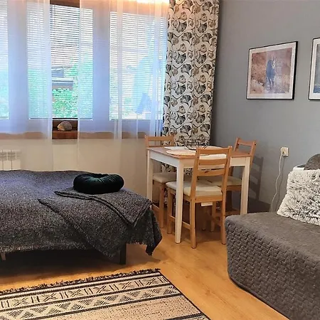 Studio Miła i Nido w Centrum Zakopane Zewnętrze zdjęcie